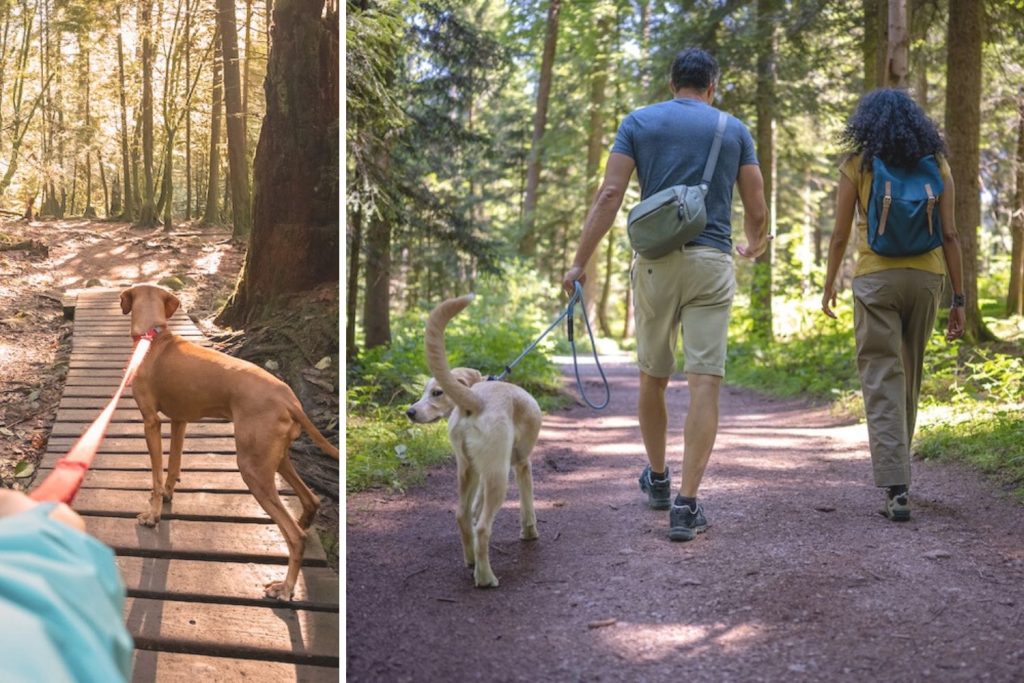 split image of a person walking their dog along a bridge and a couple waking their dog on a trail